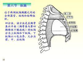 上纵隔肿瘤 搜刮 搜狗百科?